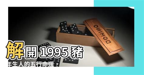 1995 豬 之卦意思